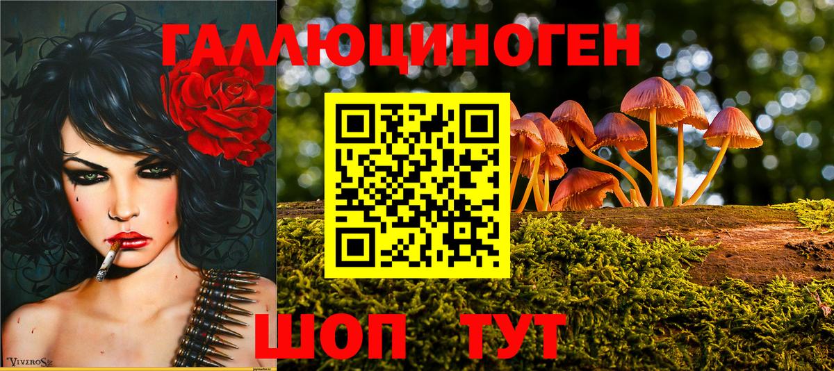 Галлюциногенные грибы прущие грибы Будённовск