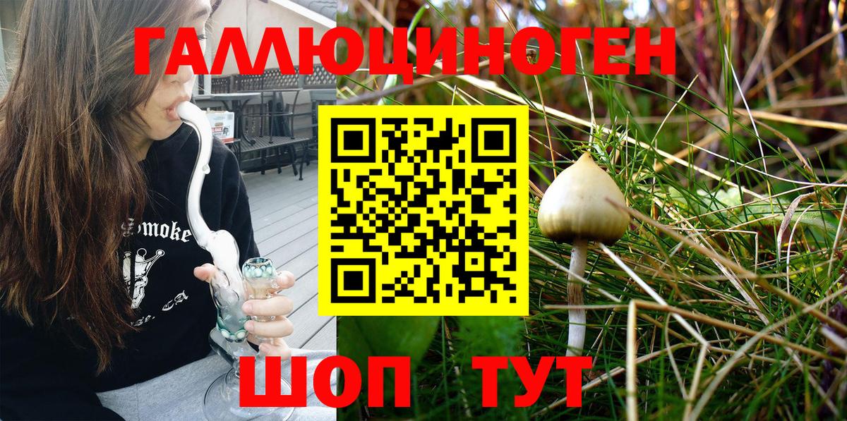 где продают   Вход с VPN  Псилоцибиновые грибы Magic Shrooms  Будённовск  Галлюциногенные грибы Psilocybe 